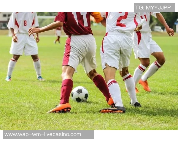 足球的历史演变与古代名称探秘之旅